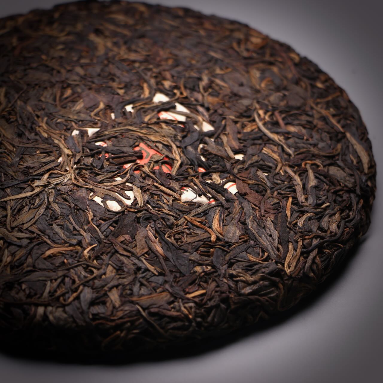 2012 CYH - Cang feng - Gedeng