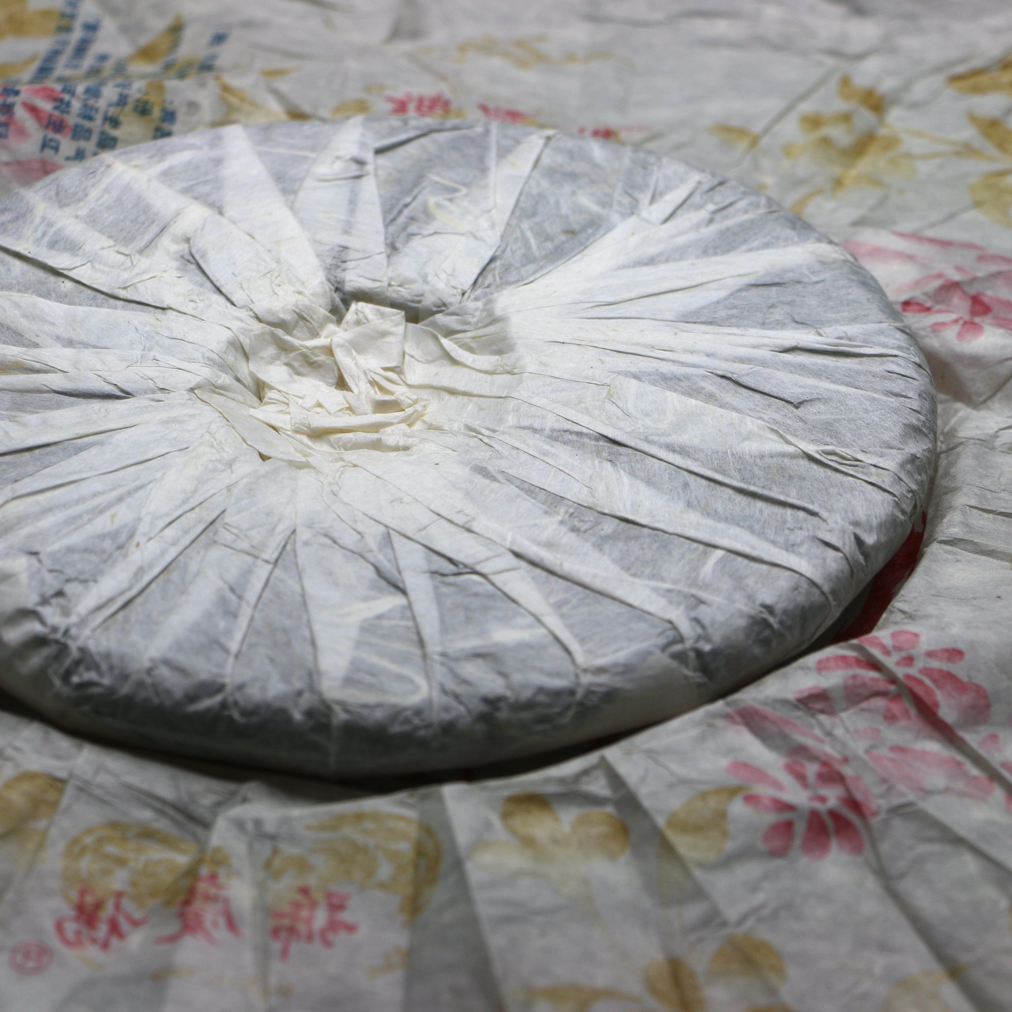 2007 Yang Qing Hao - Qi Zhong