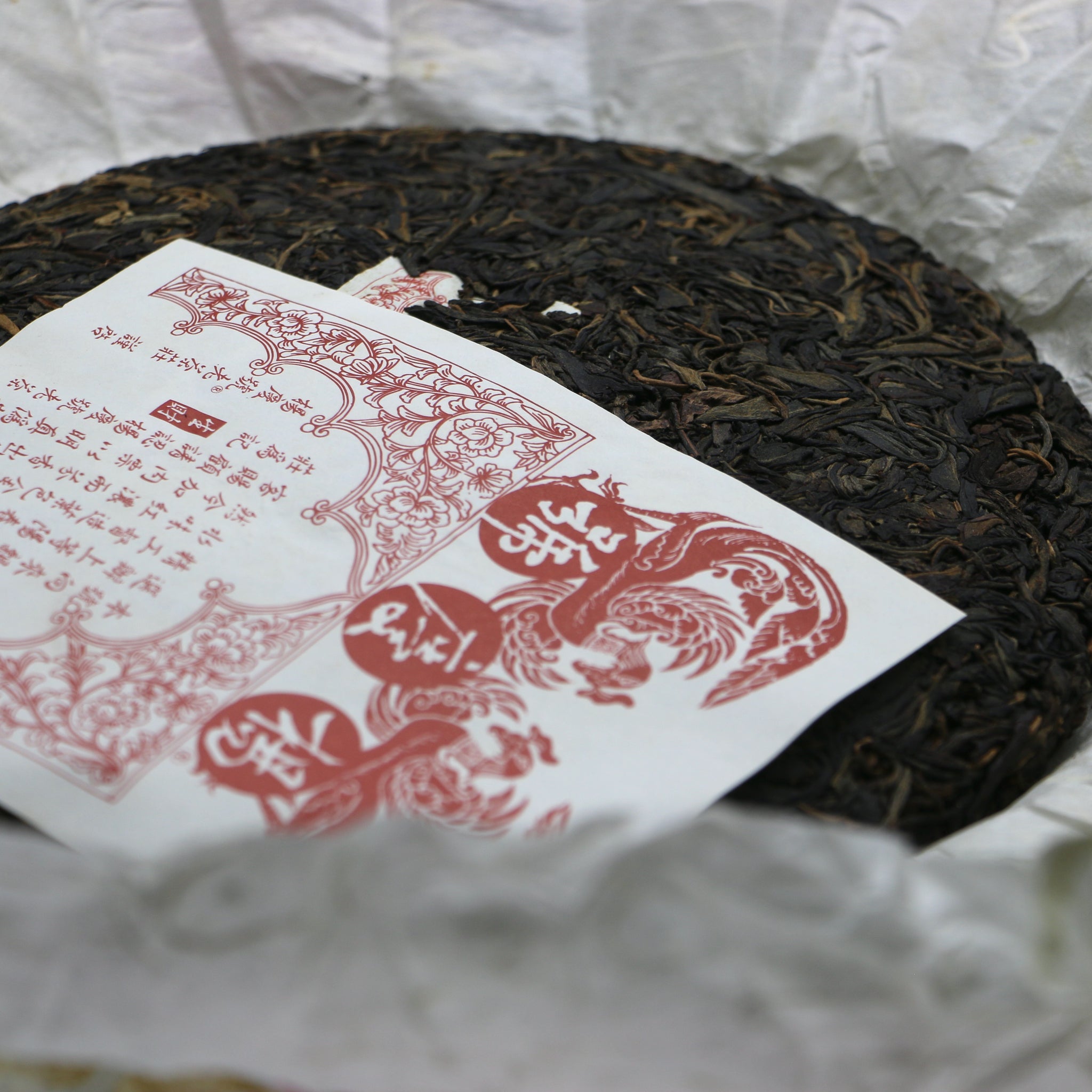 2007 Yang Qing Hao - Qi Zhong