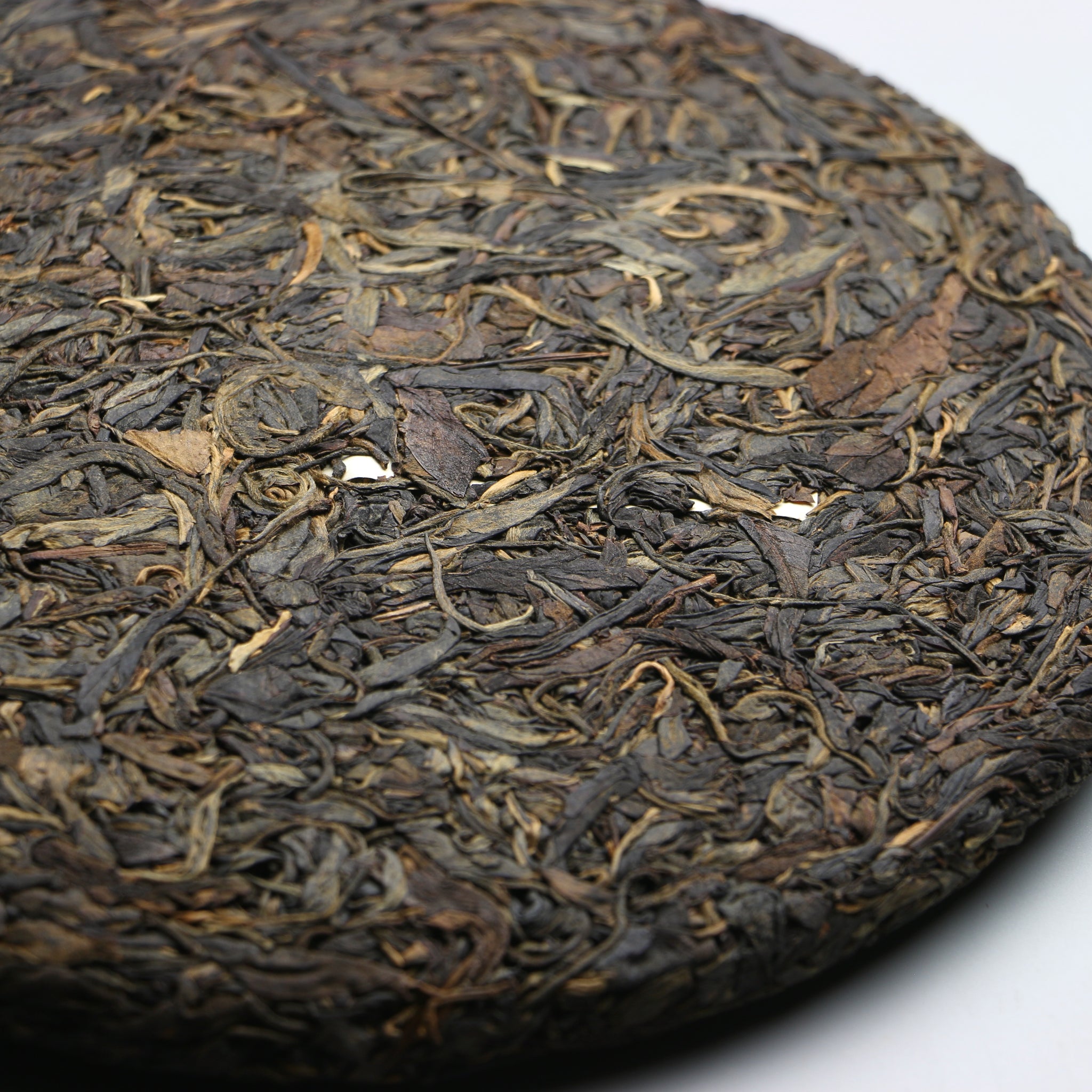 2006 Yang Qing Hao - Qi Xiang