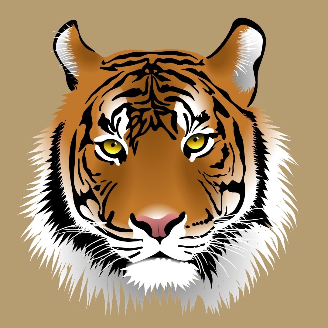 Tiger Year Special