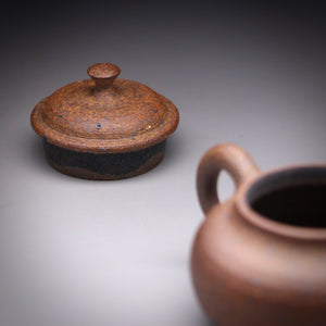 Earthen Elegance Wild clay teapot 69ml & box