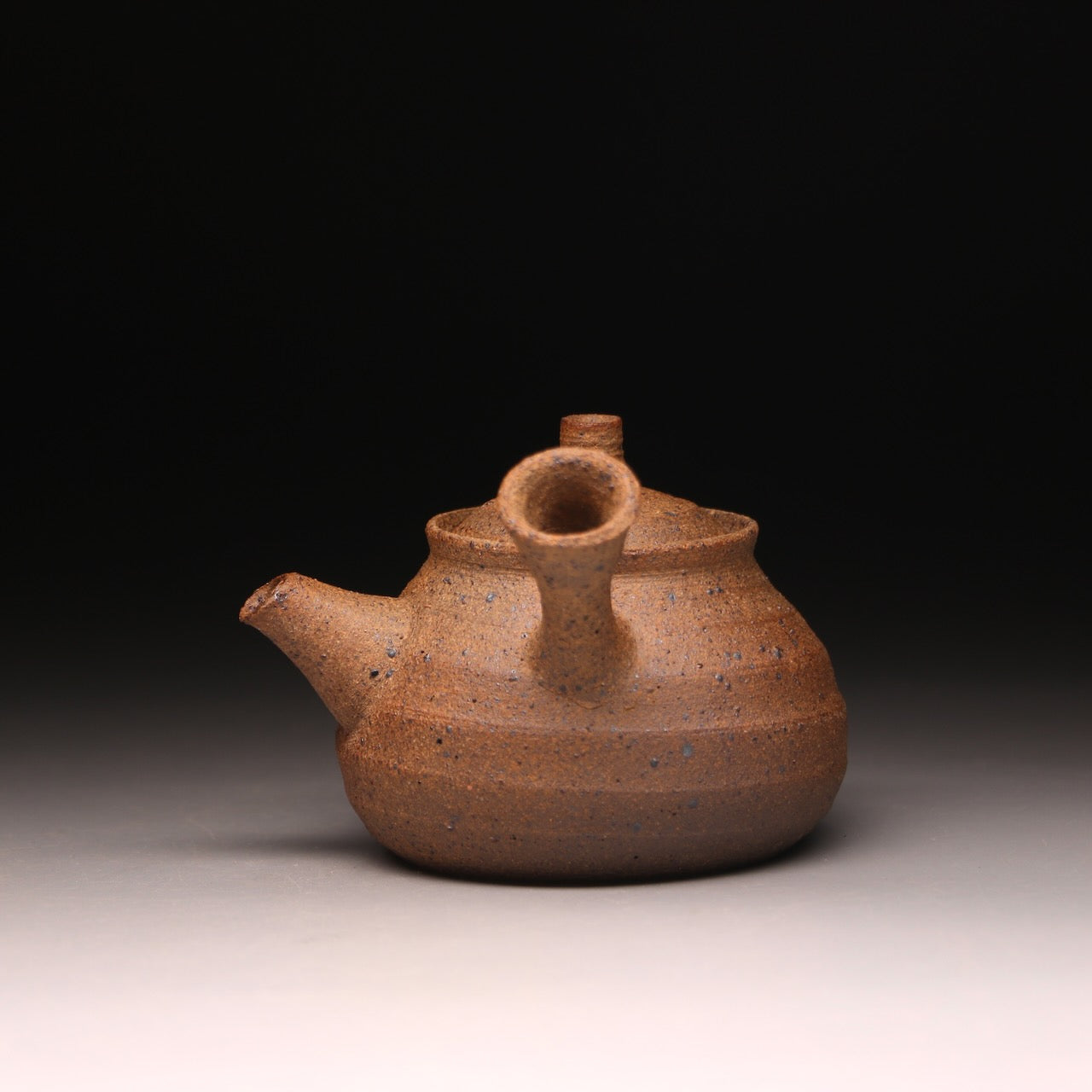 Wild clay side handle teapot 160ml B