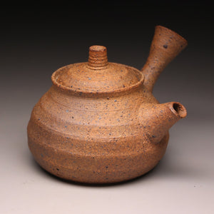 Wild clay side handle teapot 160ml B
