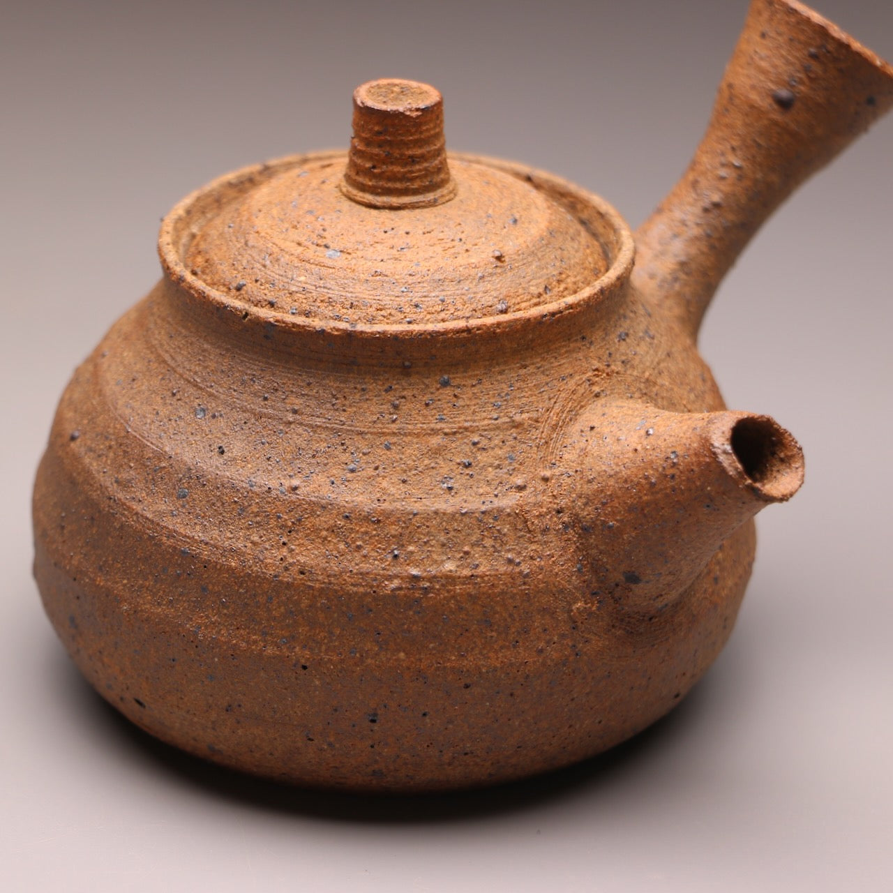 Wild clay side handle teapot 160ml B
